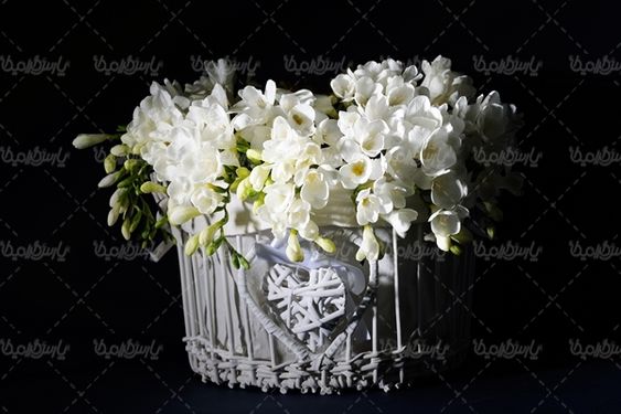 گل گلفروشی گالری گل و گیاه