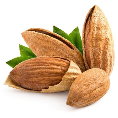 بادام درختی آجیل فروشی خشکبار
