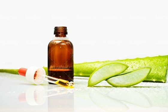 روغن آلوئه ورا گیاه آلوئه ورا عطاری