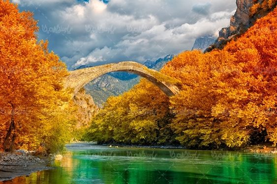 پاییز فصل پاییز برگ زرد درختان طبیعت