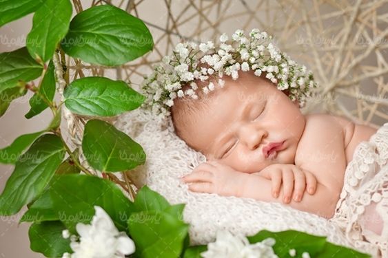 کودک خردسال بچه نوزاد آتلیه کودک