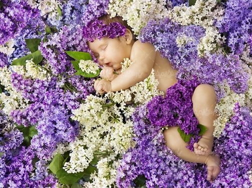 کودک خردسال بچه نوزاد آتلیه کودک