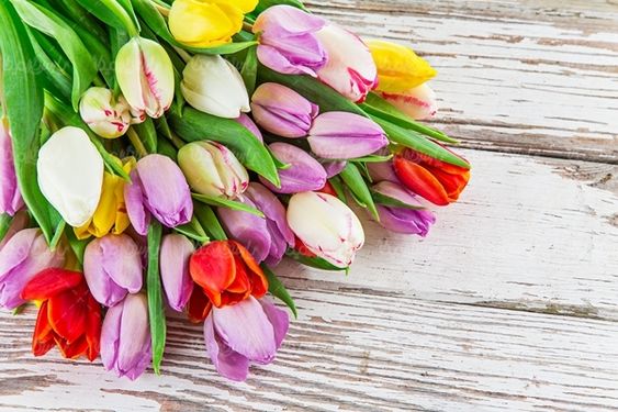 گلفروشی گل طبیعی دسته گل