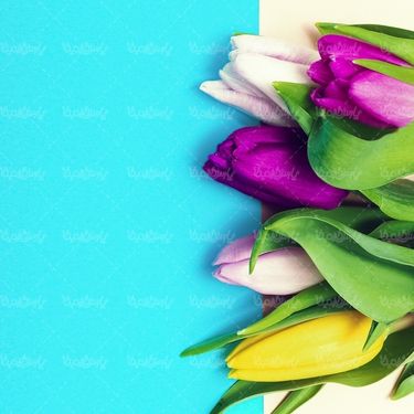 گلفروشی گل طبیعی دسته گل