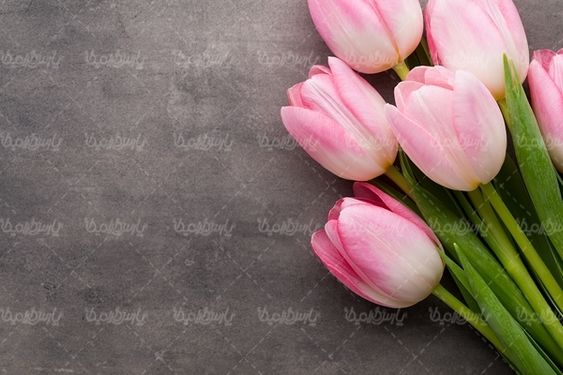 گلفروشی گل طبیعی دسته گل