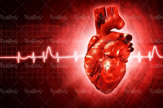 پزشکی قلب نوار قلب علم پزشکی