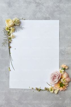 حاشیه گل طبیعی بهار کاغذ