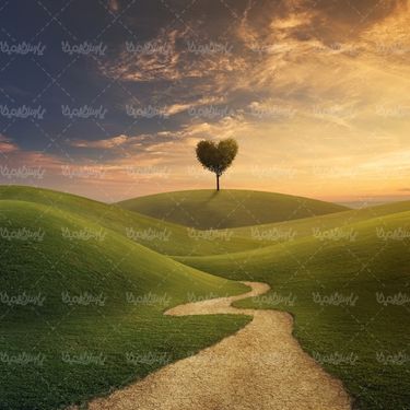 طبیعت منظره چمنزار علفزار درخت قلبی