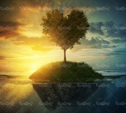 طبیعت منظره چمنزار علفزار درخت قلبی