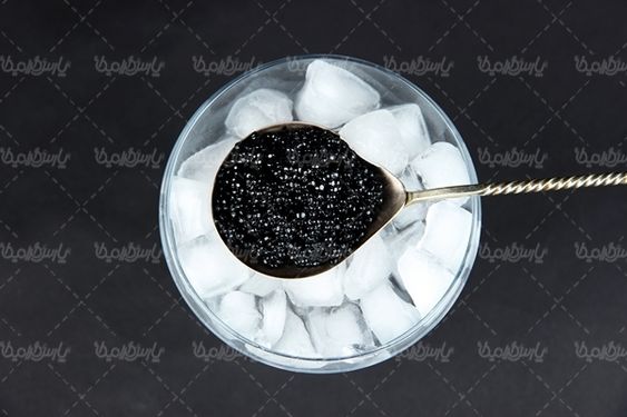 خاویار ماهی خاویار پروتئینی