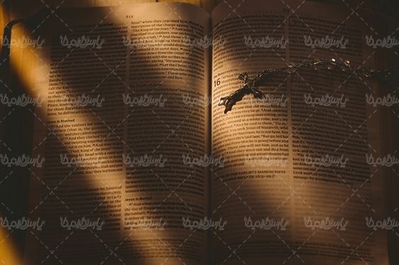 کتاب مقدس انجیل دین مسیحیت