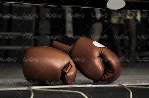 باشگاه بوکس دستکش بوکس اسپرت