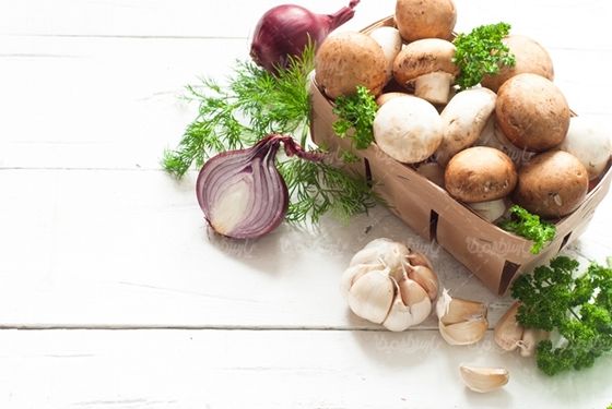 پرورش قارچ تولید قارچ پروتئینی