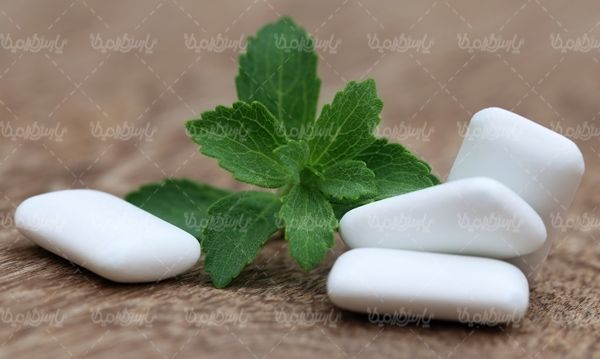 gum آدامس نعناع آدمس نعناعی