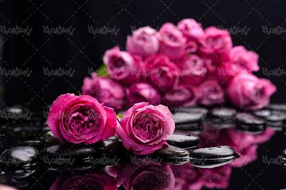 دسته گل گلفروشی گل طبیعی شاخه گل