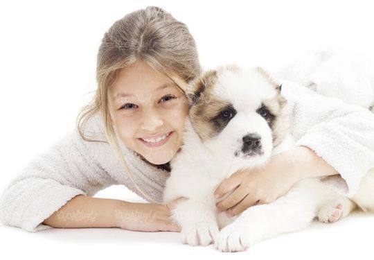 بچه کودک آتلیه عکاسی سگ