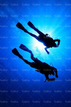 قواصی ورزش اسپرت sport