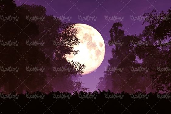 ماه کامل آسمان شب آسمان ابری شب