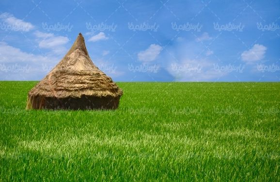 دانه های برج مواد غذایی