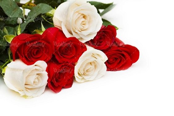 گل رز قرمز دسته گل