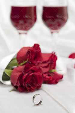 گل رز قرمز