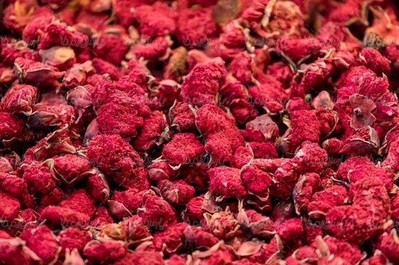 عطاری گیاهان دارویی