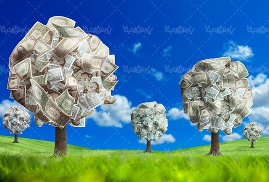 درخت اسکناس