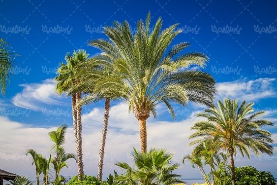 چشم انداز آسمان آبی