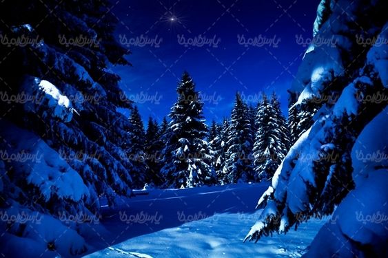 برف زمستان منظره برفی