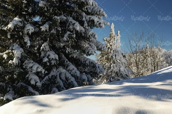 برف زمستان منظره برفی