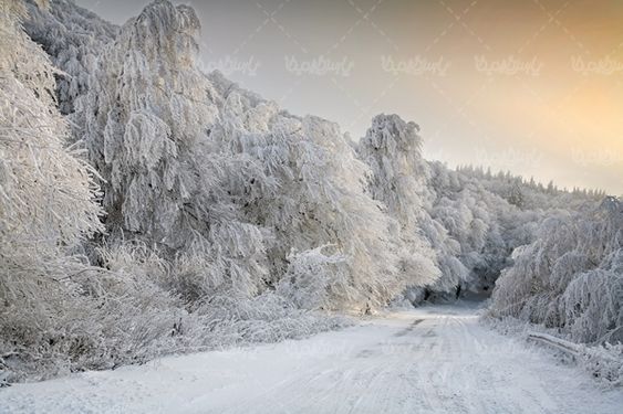 برف زمستان منظره برفی