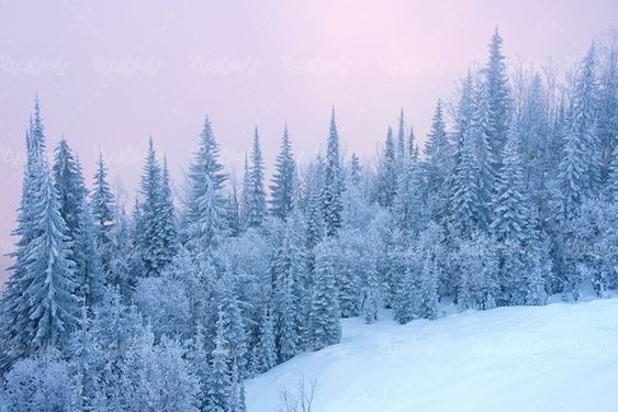 برف زمستان منظره برفی