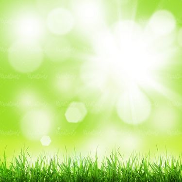 علفزار طبیعت سرسبز چمنزار