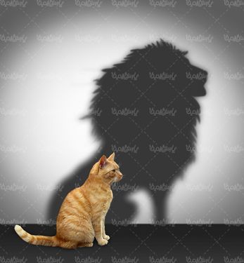 حیوان خانگی حیوان اهلی