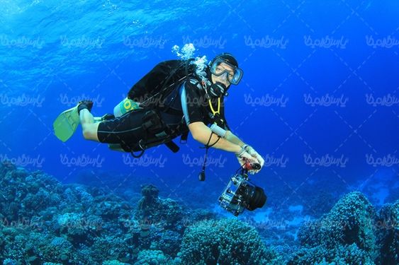 قواصی