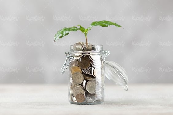 سکه سرمایه گذاری
