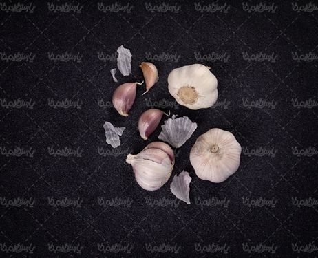 میوه فروشی سیر