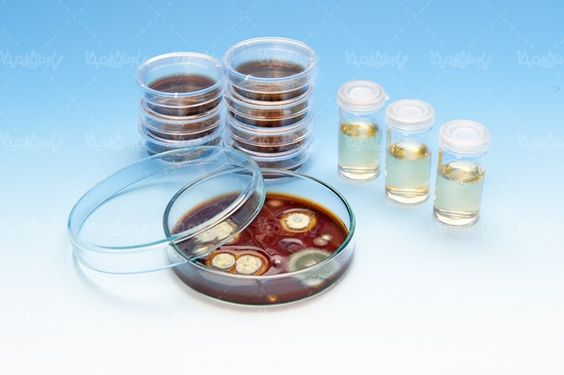 آزمایشگاه