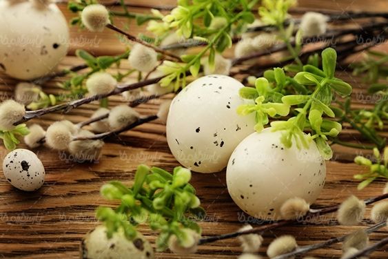 تخم مرغ عید نوروز