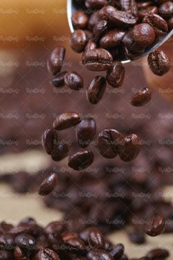 قهوه فرآوری شده