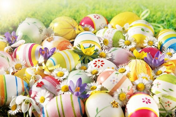 Colored egg