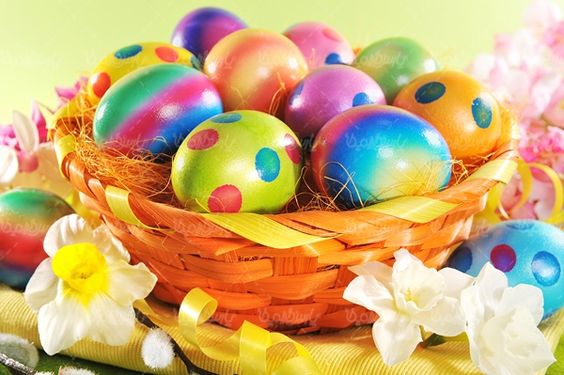 Colored egg