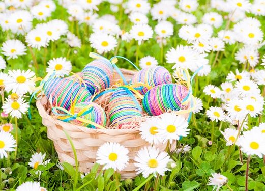 Colored egg