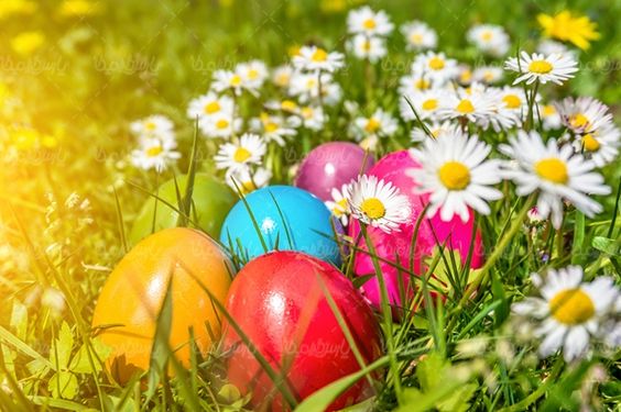 Colored egg