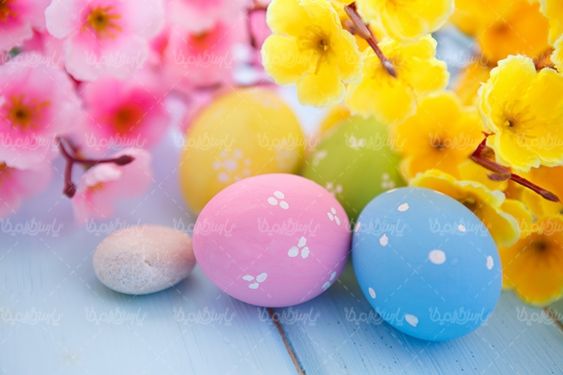 Colored egg