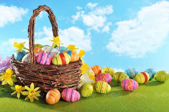 Colored egg