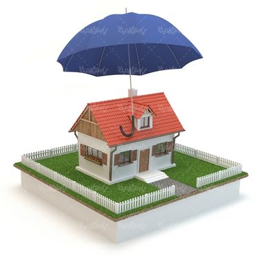 Real Estate