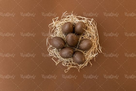 تخم مرغ شکلاتی