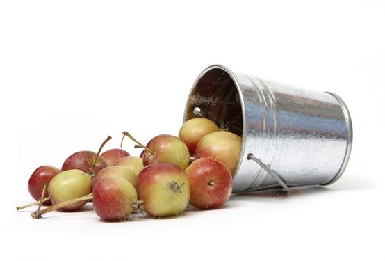سطل فلزی سیب