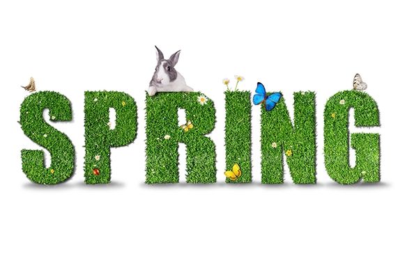 Spring